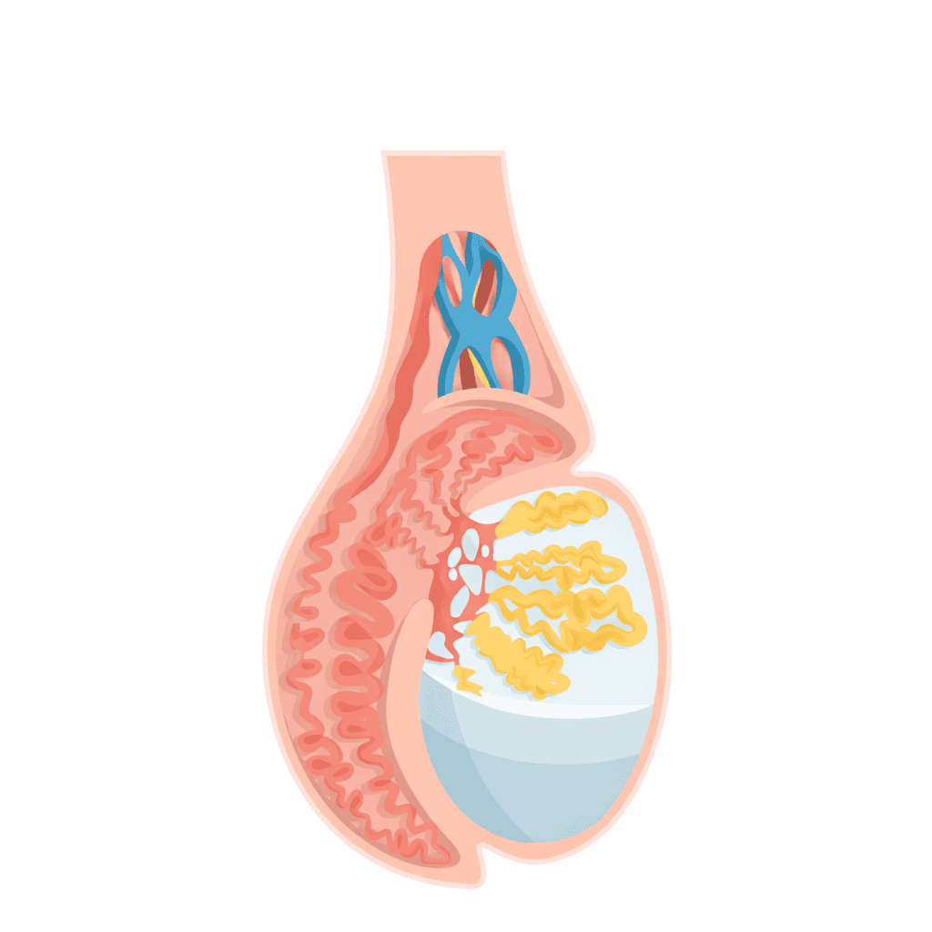 Male Infertility treatment in jaipur